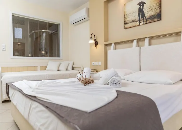 Aparthotel Harmony Agia Anna (Naxos)